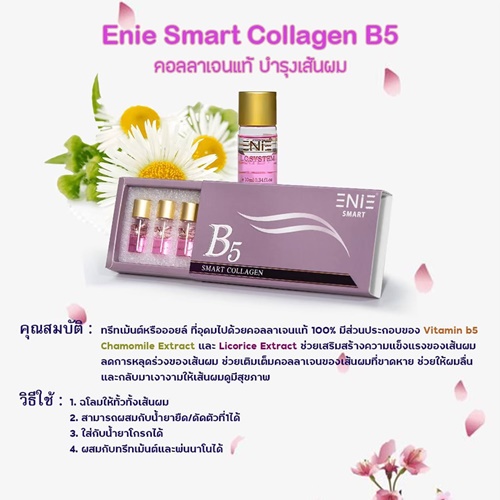 Enie Fantasy Thailand
