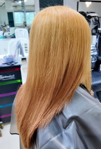 Enie Fantasy Thailand