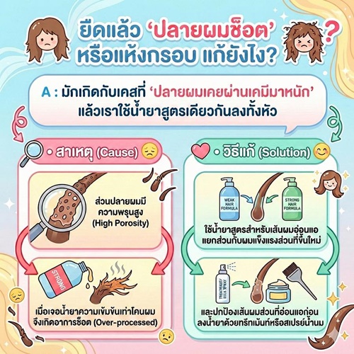 Enie Fantasy Thailand