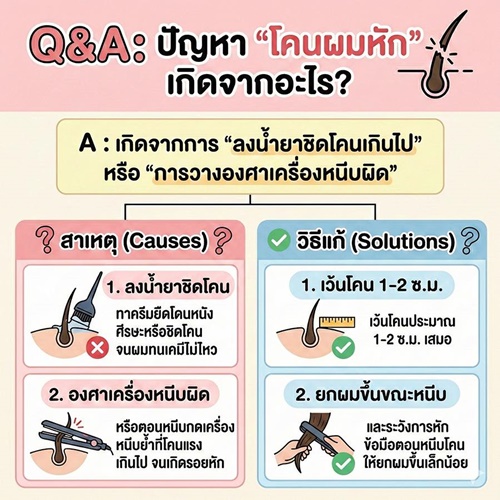 Enie Fantasy Thailand