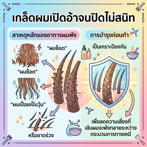 Enie Fantasy Thailand