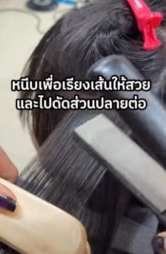 เทคนิคการหนีบผม