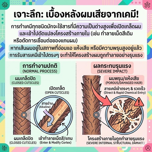 Enie Fantasy Thailand
