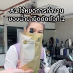 Enie Fantasy Thailand