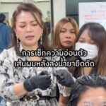 Enie Fantasy Thailand