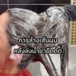 Enie Fantasy Thailand