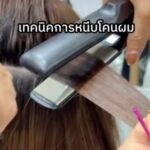 Enie Fantasy Thailand